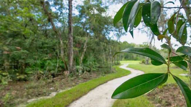 Building Photo - Brand-New Home in The Landing at St. Augustine