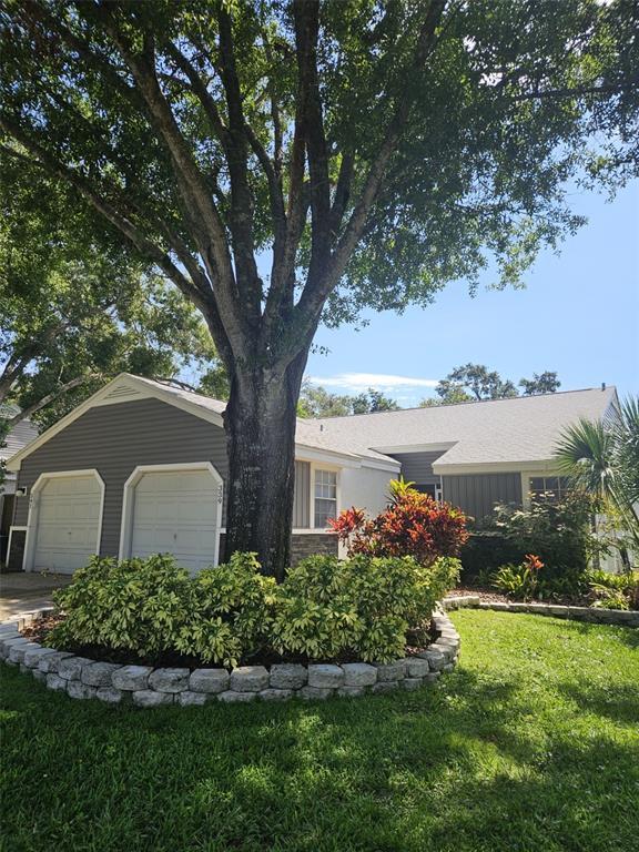Building Photo - 339 Petrea Dr