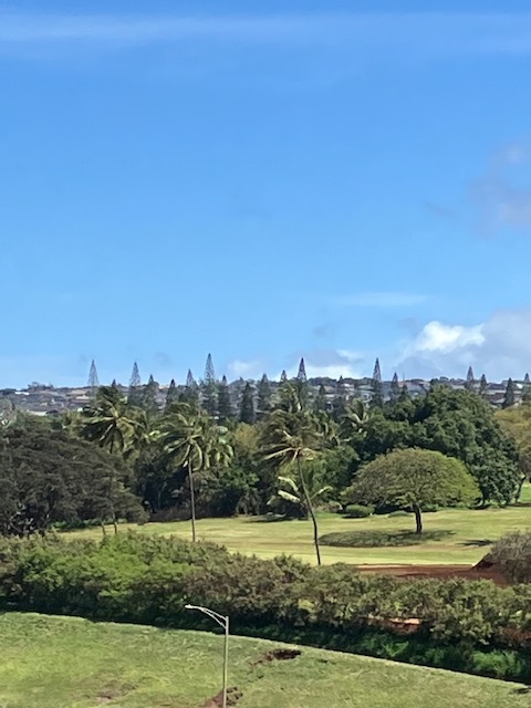 golf course views too - 98-500 Koauka Loop