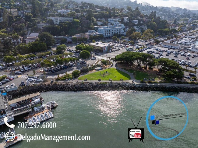 Building Photo - Sausalito living in this 2bd/2ba hillside ...