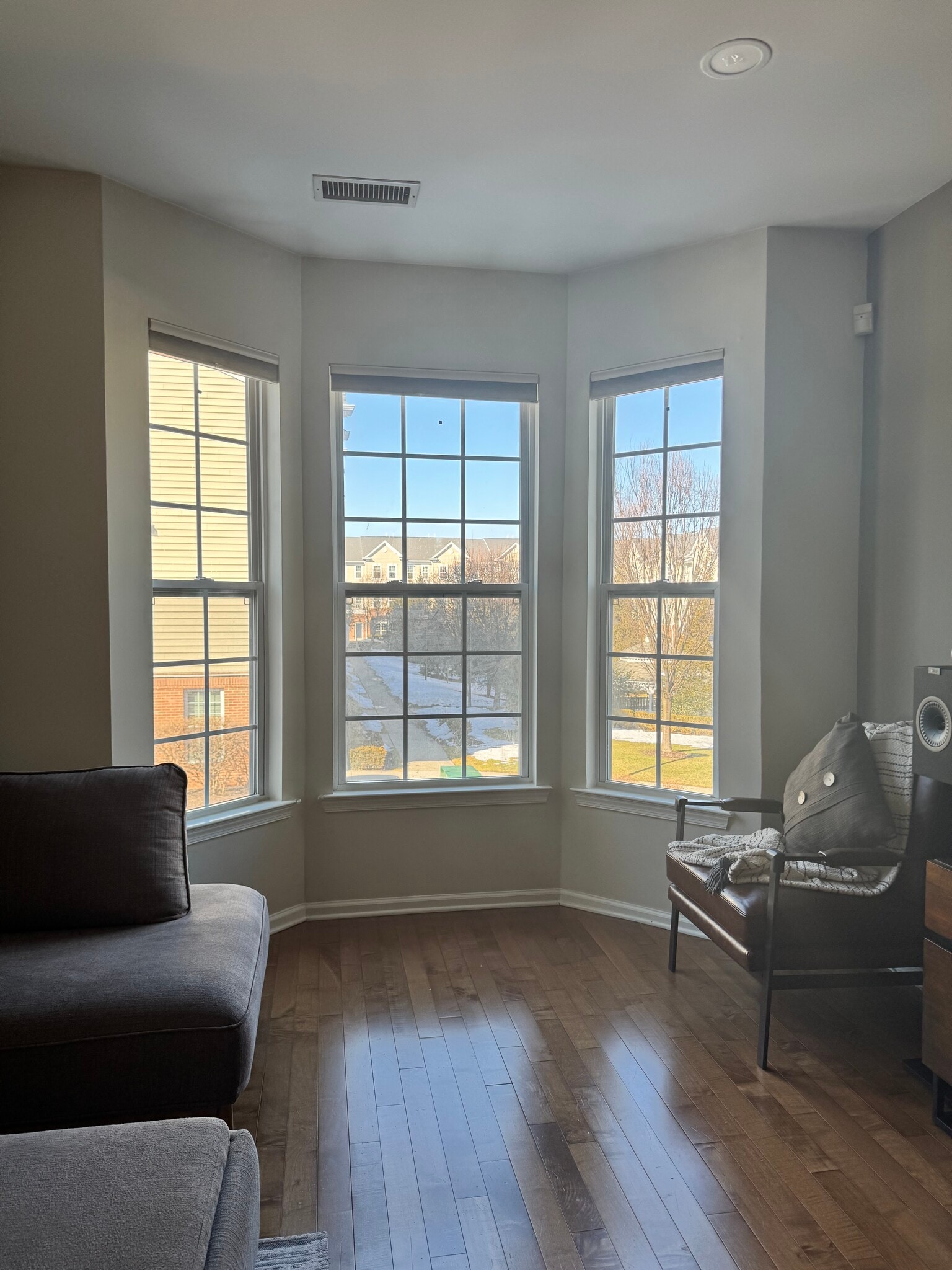 Living room - 813 Deluca Rd