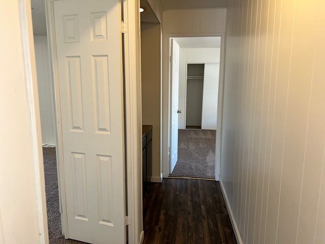Building Photo - 3539 Cape Cod Dr
