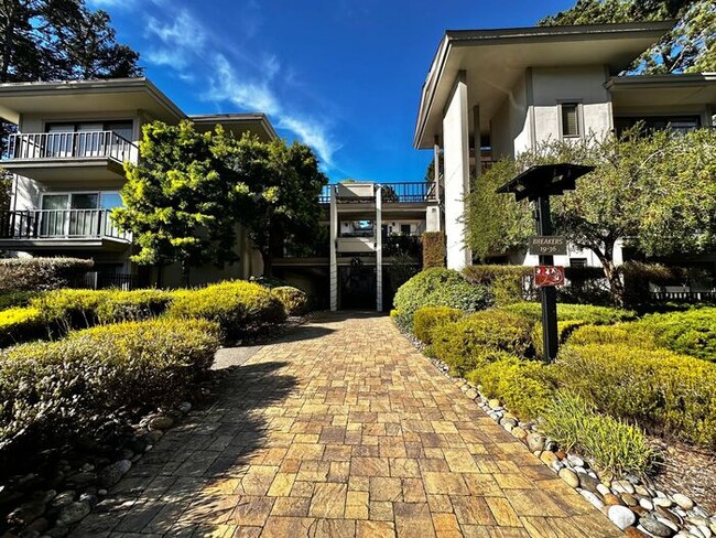 Building Photo - Forest Views With Peeks Of The Ocean From ...