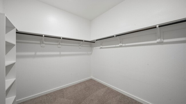 Building Photo - 509 Brent Pk Ct