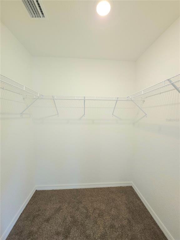 Building Photo - 237 Locust Pass Dr