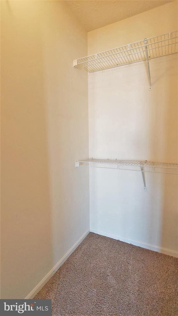 Building Photo - 621 Himes Ave
