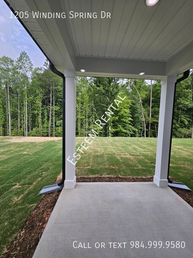Building Photo - 1205 Winding Spg Dr