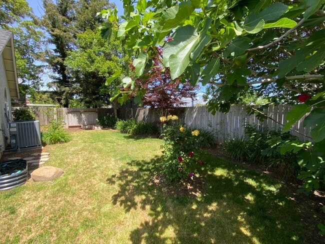 Backyard - 2726 Duffy Dr