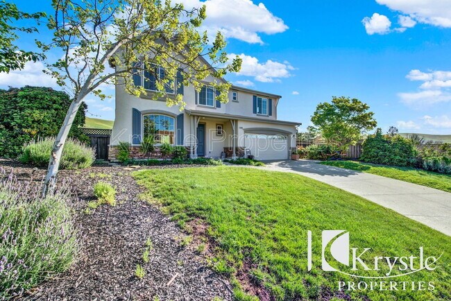 Building Photo - 3050 Blue Sky Ct