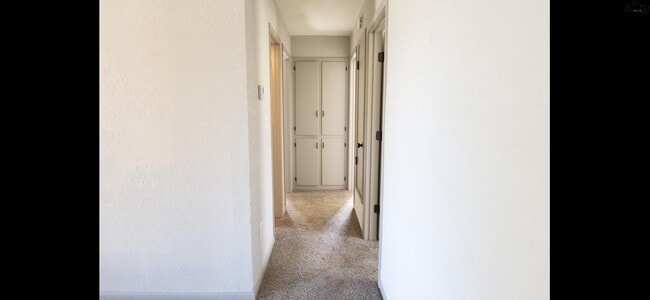 Building Photo - 906 Dosia Cir