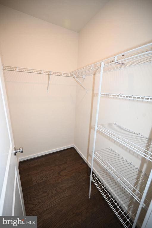 Building Photo - 2413 Glenallan Ave