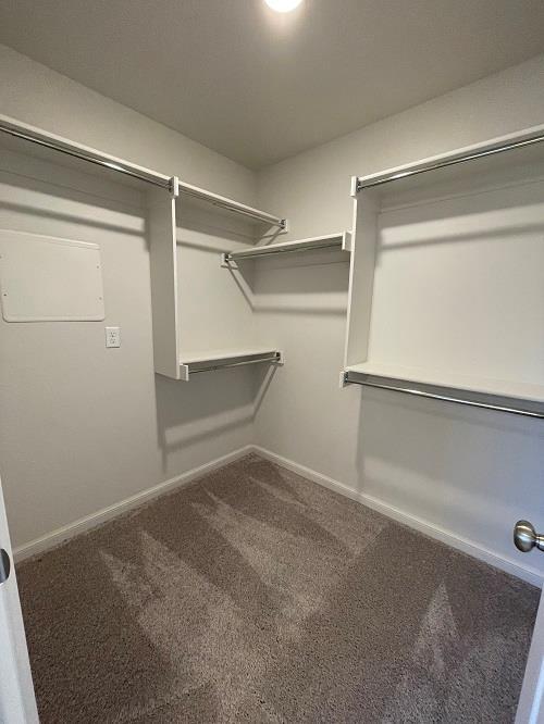 Building Photo - 2372 Anne Ln