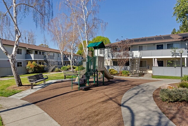 Building Photo - The Woods