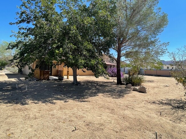 Building Photo - Charming Joshua Tree Village Home