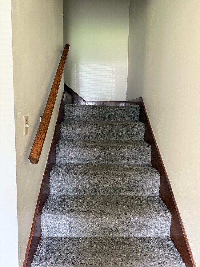 Building Photo - 117 Briarwood St