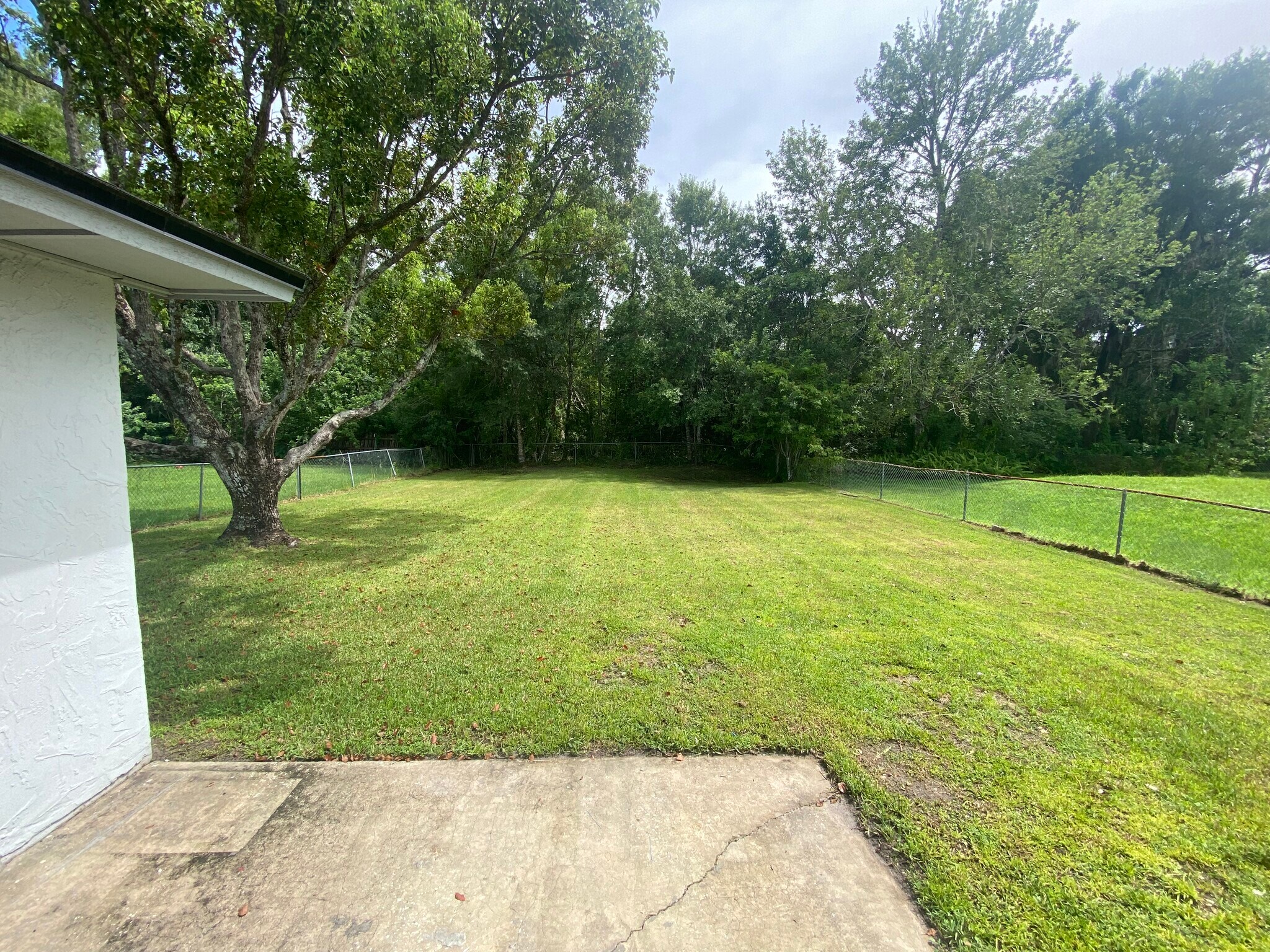 Back yard - 5210 Sunrise Blvd