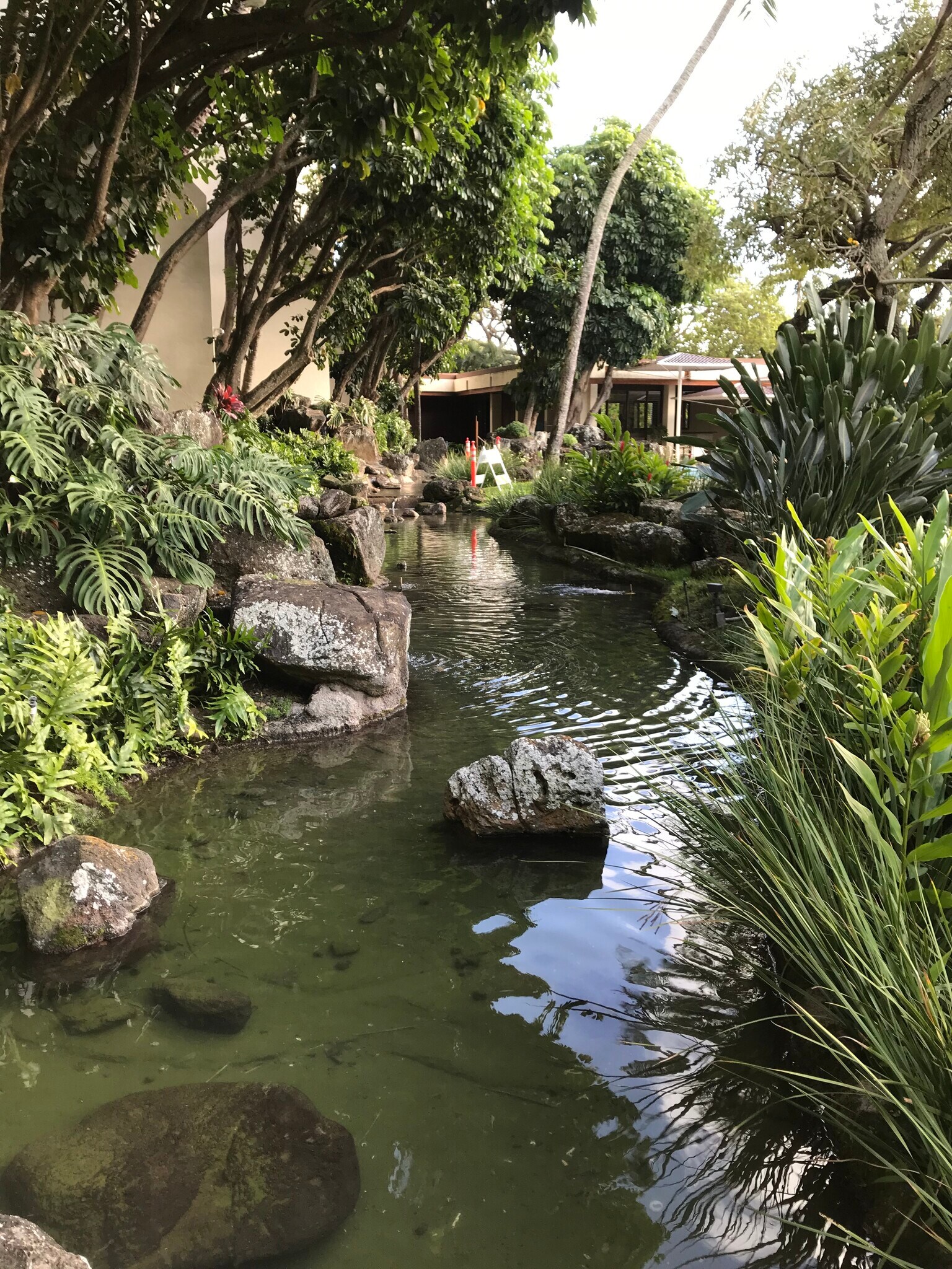 Building Photo - 501 Hahaione St