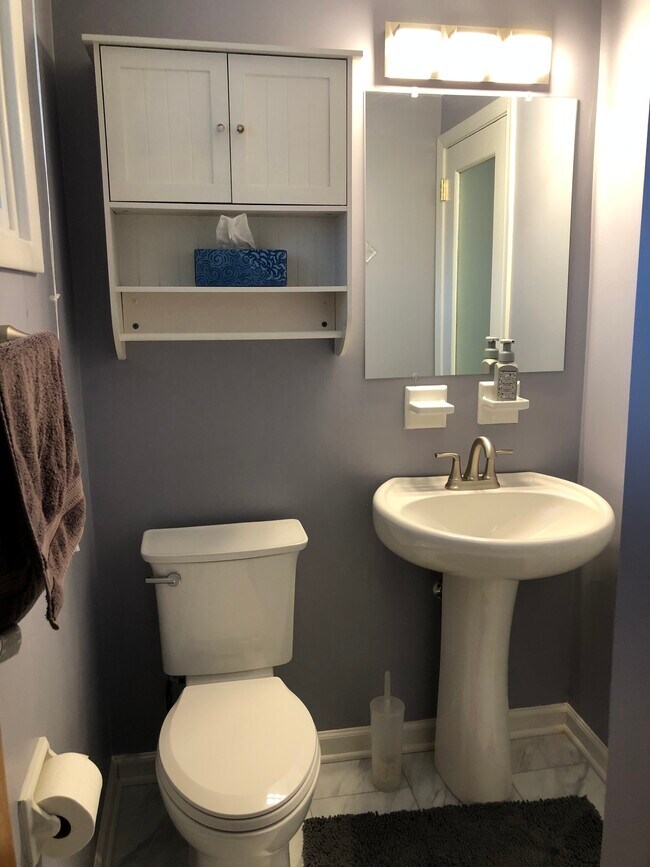 Half Bath - 207 Carlton Dr