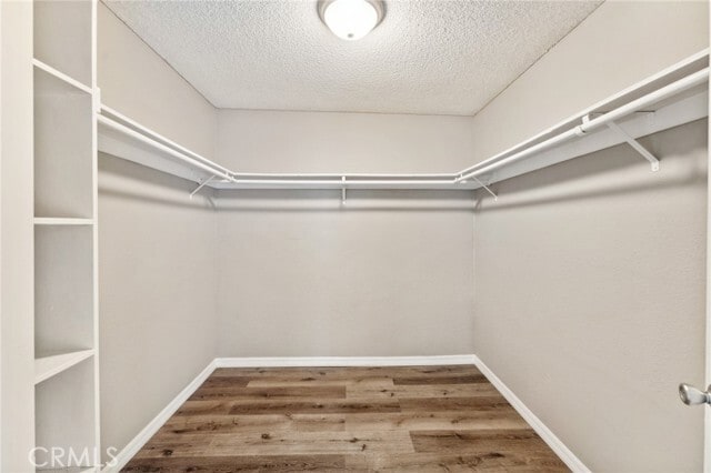 Building Photo - 34602 Calle Rosita