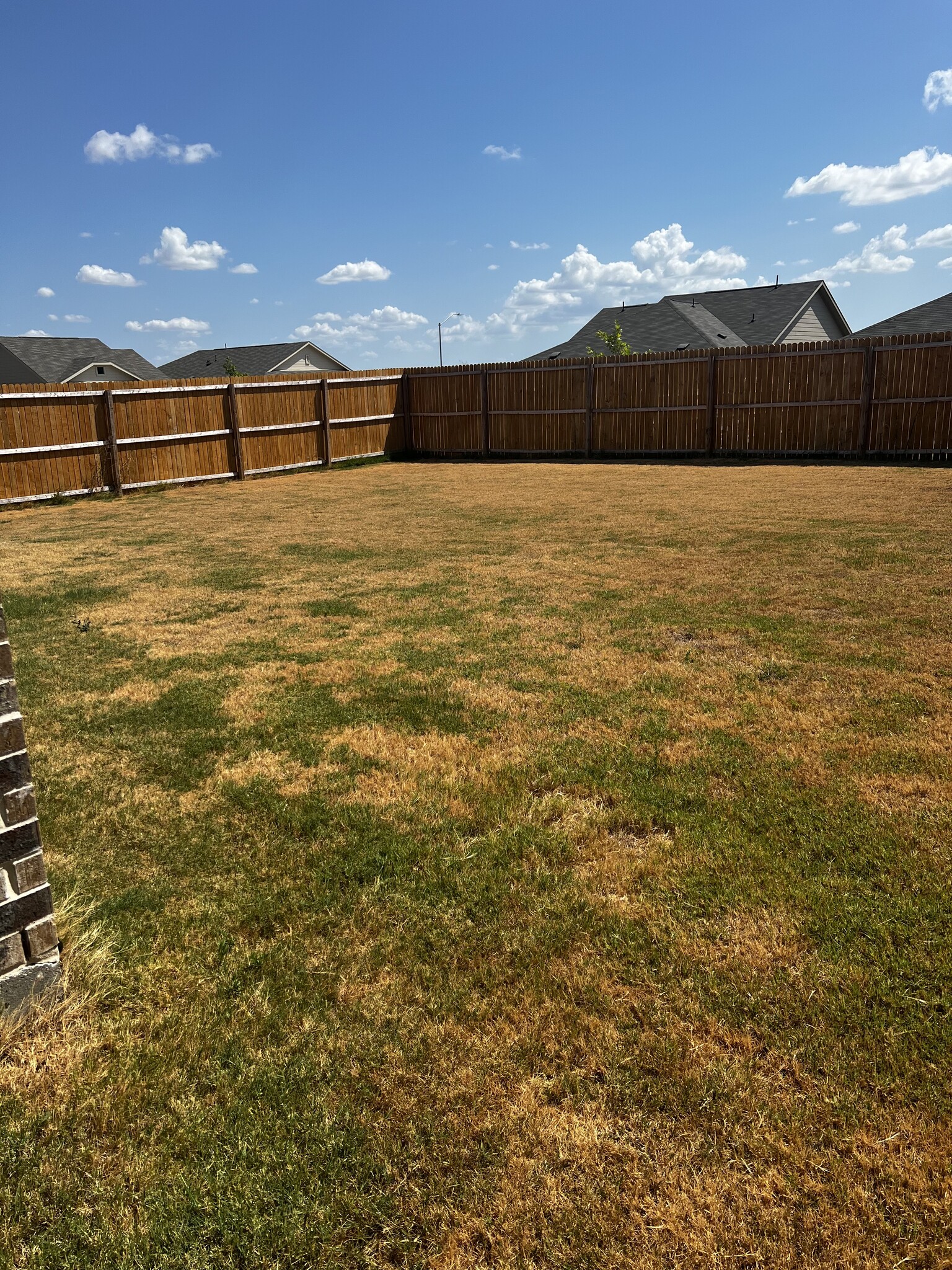 backyard - 15136 Tejano St