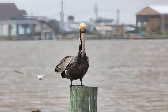 Building Photo - 1288 County Rd 297