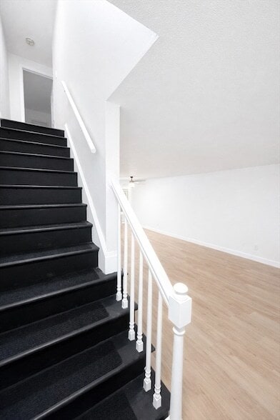 Building Photo - 116 Breckwood Cir