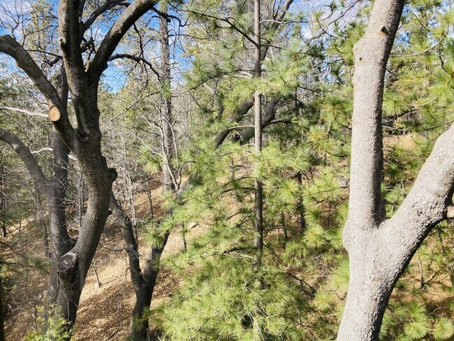 Building Photo - Enchanting Four Bedroom Two and Half Bath Condo in North Meadow Bay.