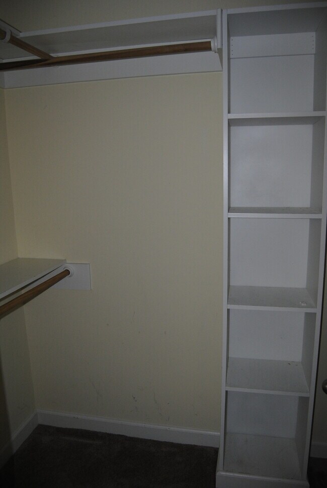 Building Photo - 105 Tillage Pl