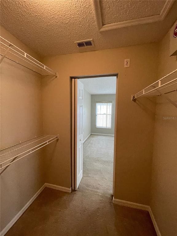 Building Photo - 207 Cranbrook Dr