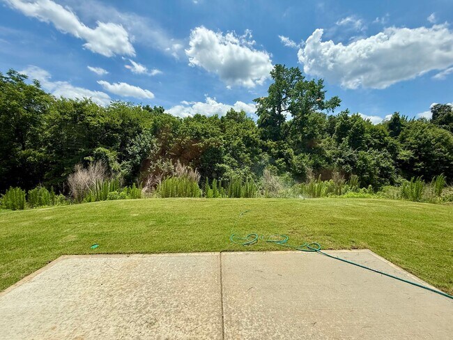 Building Photo - Beautiful, New Construction, 4BR/3.5BA Home in Secrest Commons