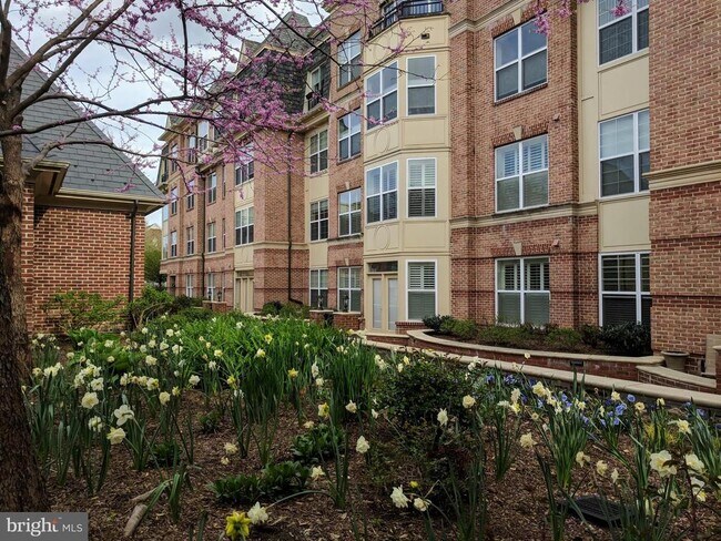 Building Photo - 320 S West St