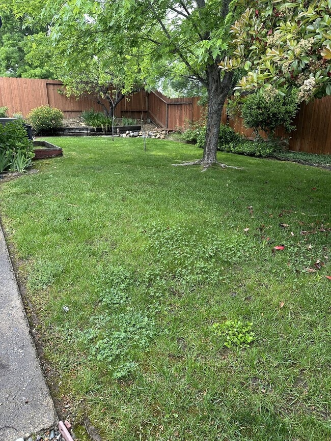 Building Photo - 3/2 Fully Updated with Fenced Yard/Dog Friendly/ Close to Everything central Redding