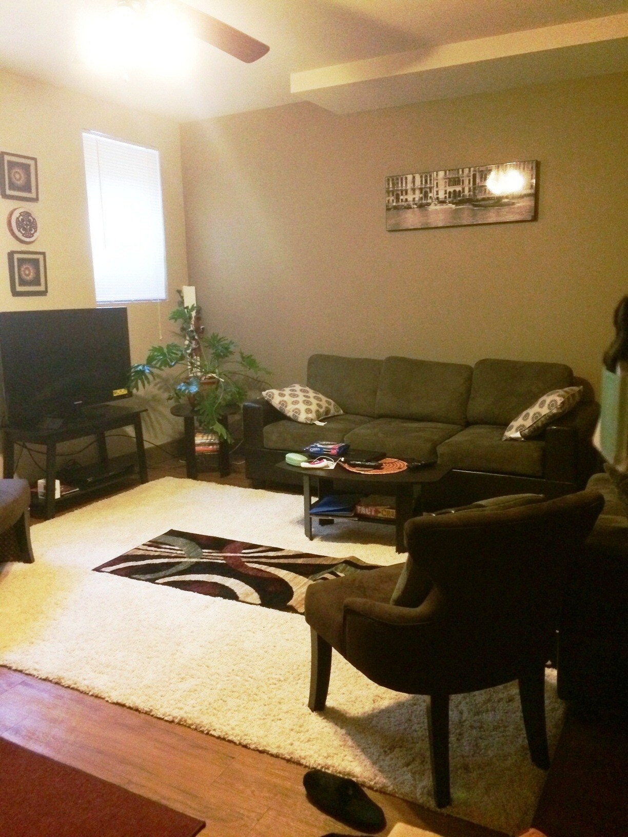 livingroom - 1134 Locust St