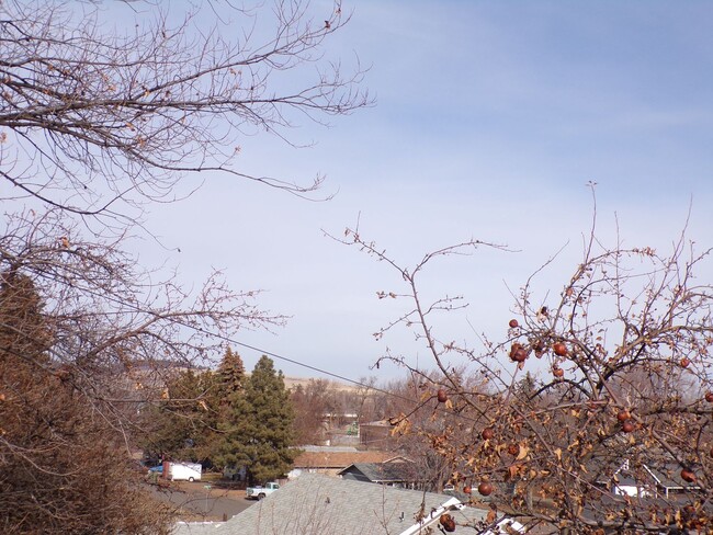 Building Photo - 107 Adams Ave