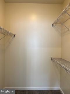 Building Photo - 103 Mango Street