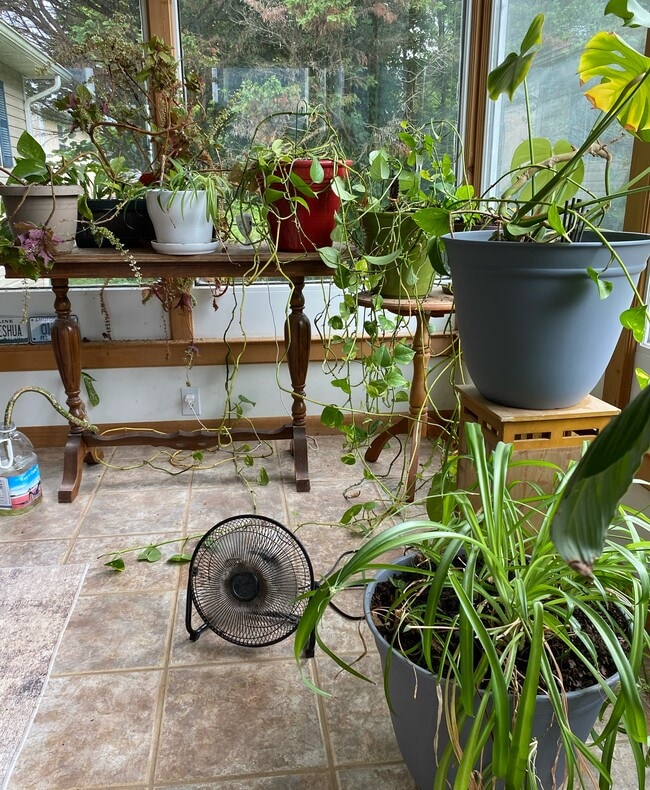 Building Photo - 116 Hidden Valley Dr