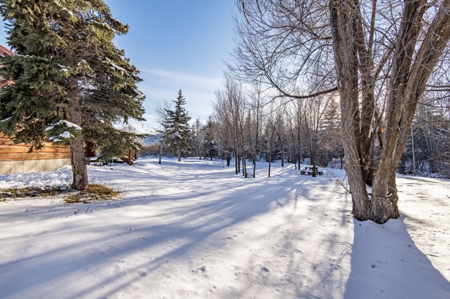 Building Photo - Charming Log Cabin and Carriage House – Do...