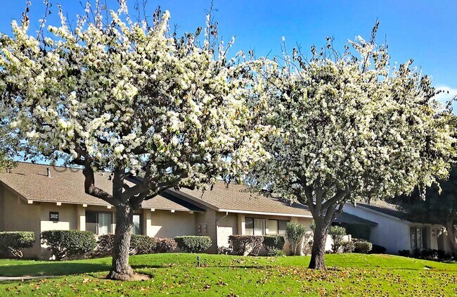 Building Photo - 55+ Huntington Beach Condo – Pools, Pickle...