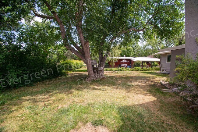 Building Photo - 3 Bed House in Northwest Fort Collins!