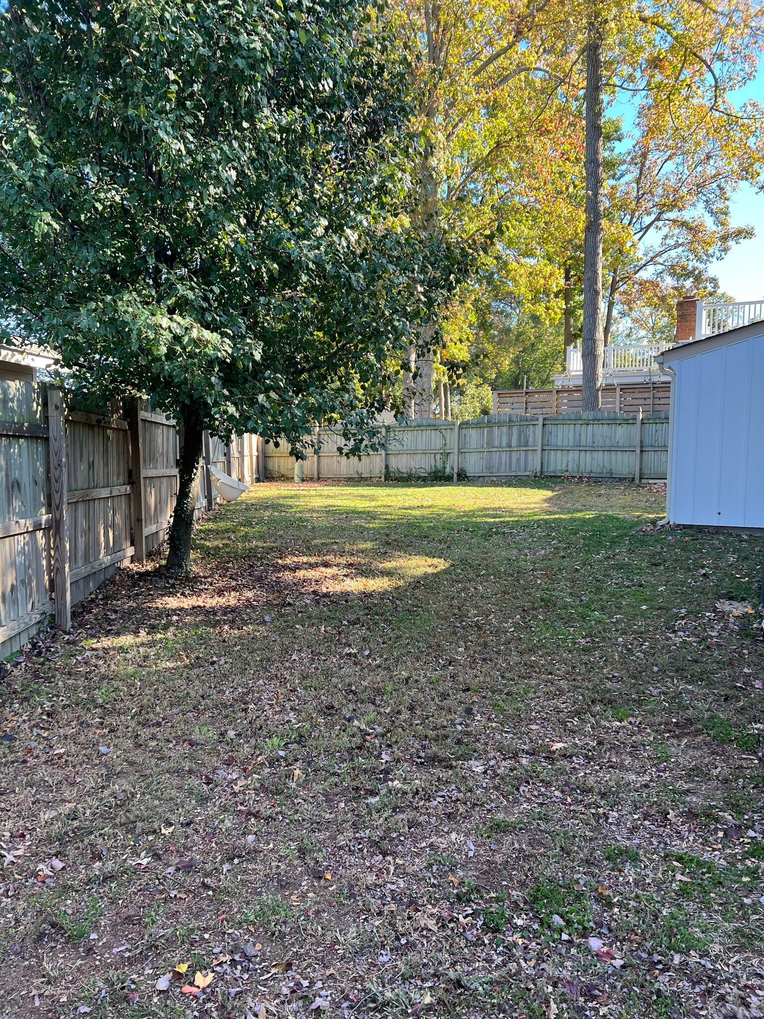 Back yard - 5108 Bromley Ln