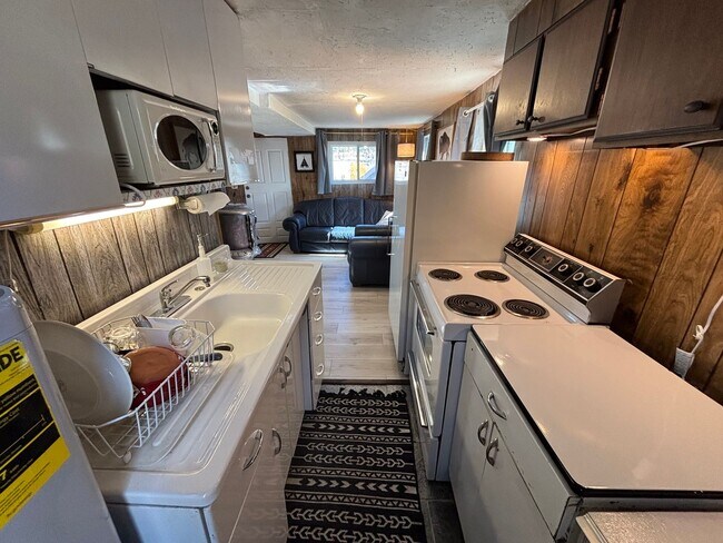 Building Photo - 20 Minutes to Breckenridge! Walk to everything Alma! Wood burning fireplace and fully furnished!