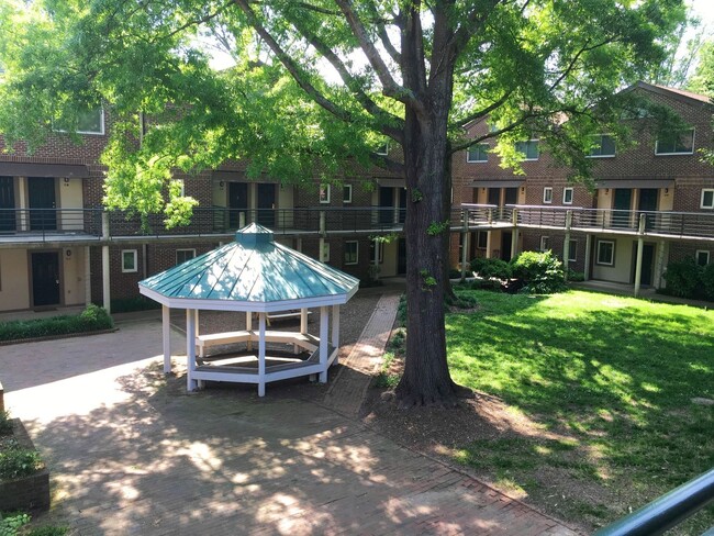 Building Photo - Renovated 3br in Chancellor Square, 2 blocks to Franklin St., walk to campus!