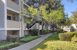 Building Photo - 295 Stonegate Cir