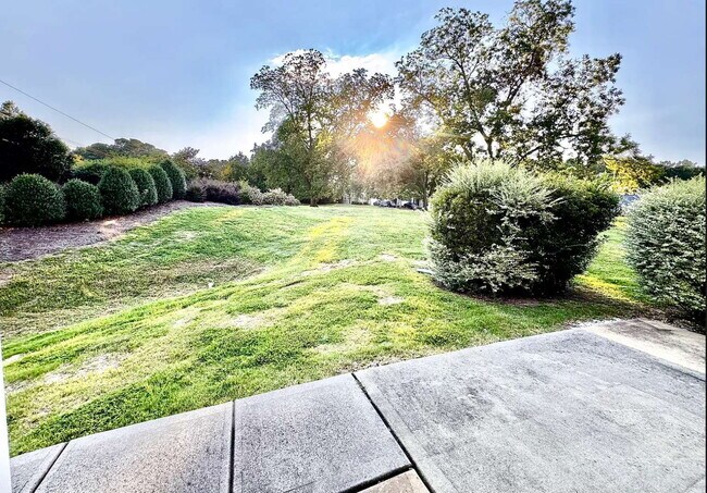Building Photo - Charming 3-Bed End-Unit Townhome in Apex!