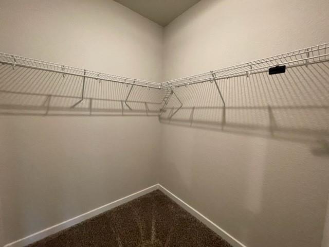 Building Photo - 3241 Starflower