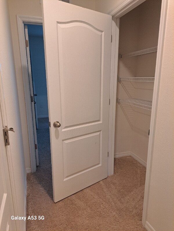 Building Photo - 5331 Timberland Ave