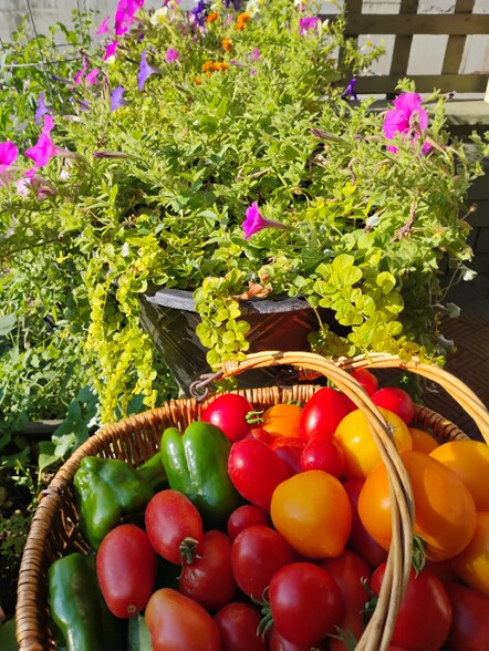 Building Photo - 1319 S 900 E