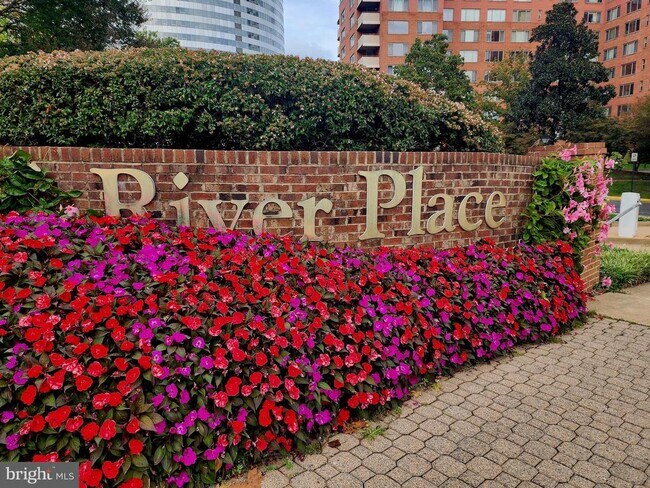 Building Photo - 1121 Arlington Blvd