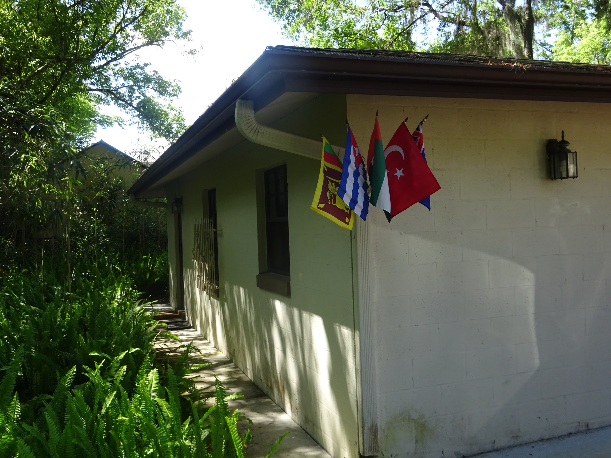 Your Walkway to Front Door - 208 W Florence Ave