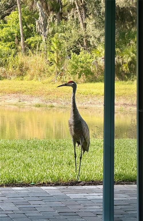 Building Photo - 8225 Golden Bch Ct